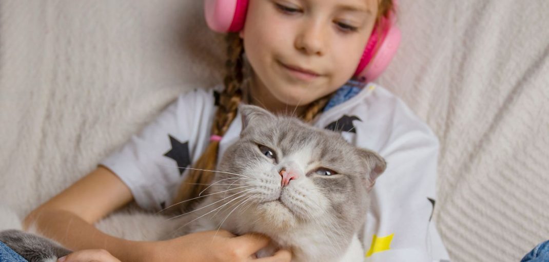 Adopter un chat : les 10 choses essentielles à savoir avant de vous lancer