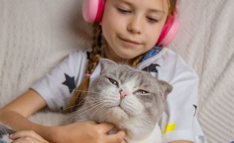 Adopter un chat : les 10 choses essentielles à savoir avant de vous lancer