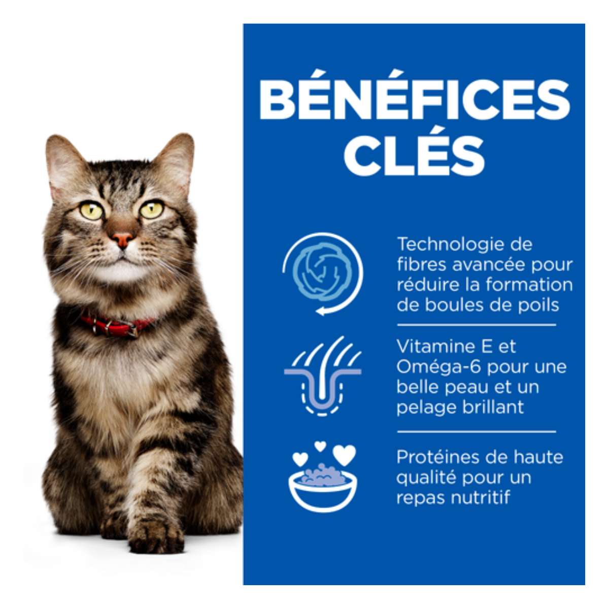 Hill’s Science Plan Hairball And Perfect Coat au Poulet 1,5kg Hill’s Science Plan Hairball And Perfect Coat au Poulet 1,5kg