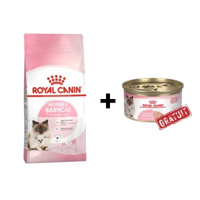Royal Canin Mother & Babycat 2kg + Mousse 195g offerte
