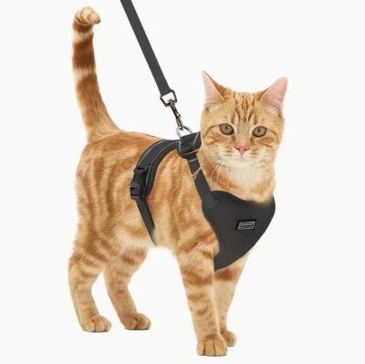 HARNAIS ET LAISSE POUR PROMENADE DE CHAT COULEUR NOIR /Beige