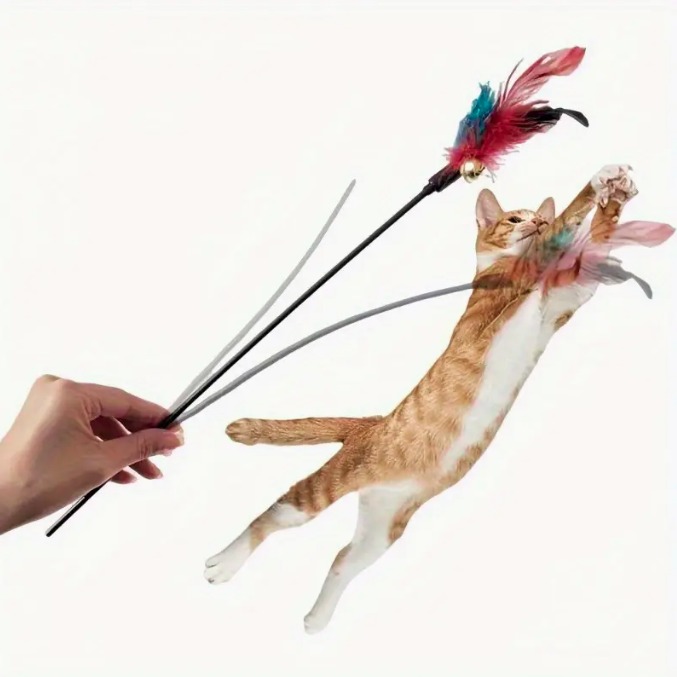 7d4184a4-c8fe-48e9-b4b2-4664a4e49182