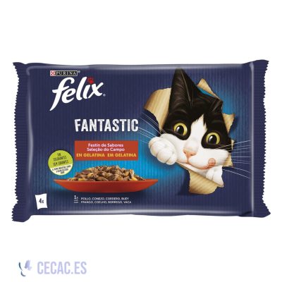 FELIX Fantastic – Festin de Saveurs en Gelée pour Chats 4*85g
