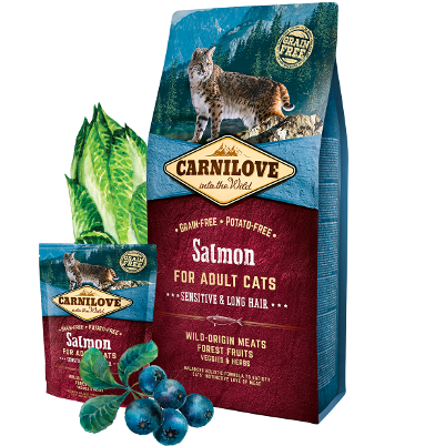 Carnilove Croquettes Cat Salmon Sensitive (DIGESTION SENSIBLE, POIL LONG) 2kg