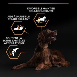 1_b00y9stl18_pt02_4-247x247