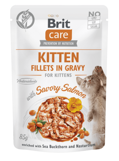 Brit Care Fillets in Gravy with Savory Salmon – 85g