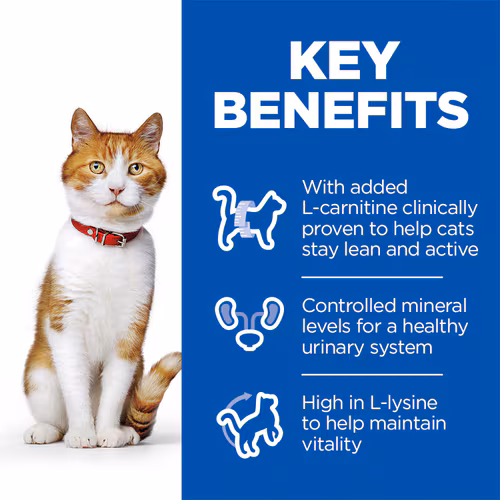 hills-sterilise-chat-saumon