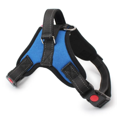 Harnais réglable Bleu pour chien - Confort et Sécurité