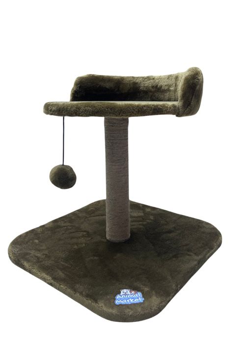 WhatsApp Image 2026-03-25 at 18.34.52