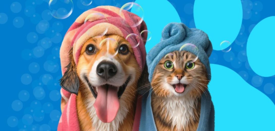 hygiene-et-soins-produits-essentiels-pour-votre-animal