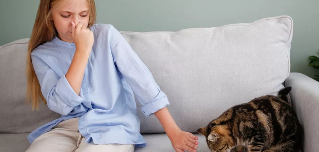 mauvaises odeurs d’animaux