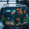 Aquarium
