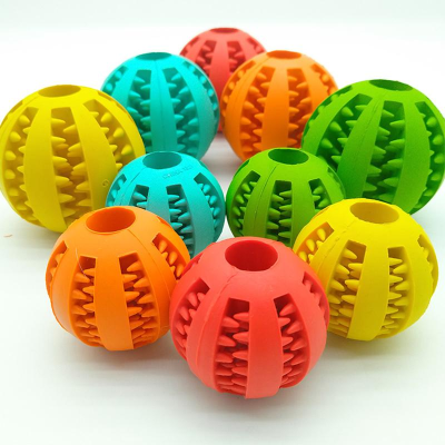 Balle Dentaires Interactive pour Chien