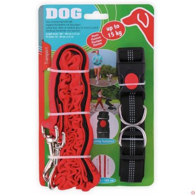 Laisse pour Chien avec Ceinture Ajustable