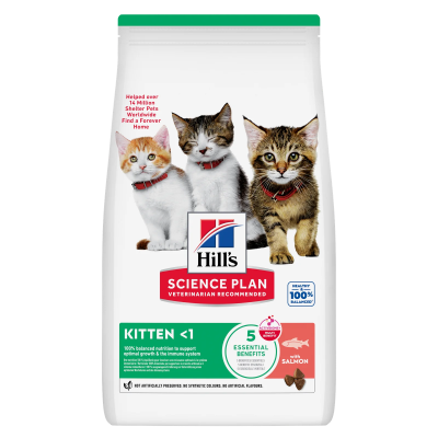 Hill’s Science Plan Croquettes Pour Chaton Au Saumon (1.5kg)