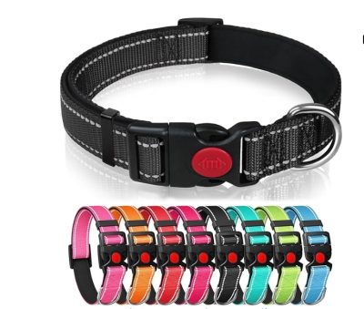 Collier réfléchissant pour chien avec rembourrage en néoprène à l'intérieur, collier réglable avec verrouillage de sécurité pour chiots, chiens grande taille L