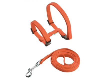 Ensemble harnais+laisse pour chat orange