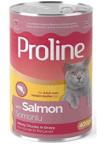 Proline Pate avec saumon 400 g
