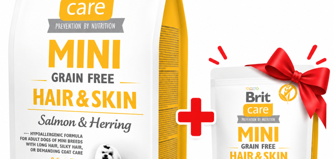 Brit Care Mini Hair Skin Saumon Hareng 2kg avec sachet 400g offert